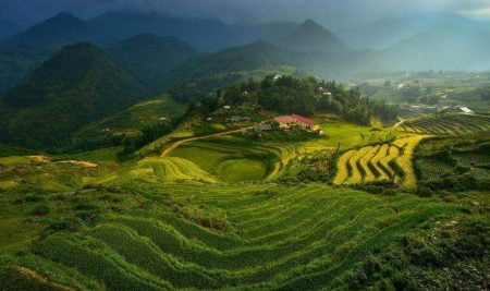 149956 landscape Vietnam terraced field 748x443 1 e1590718039982