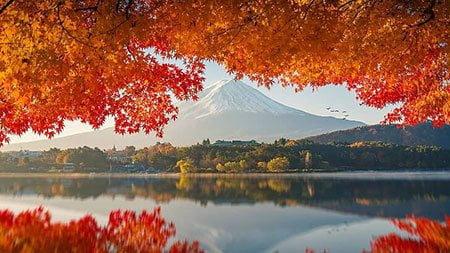 Japanese Translation Service