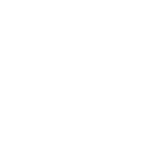 first choice logo