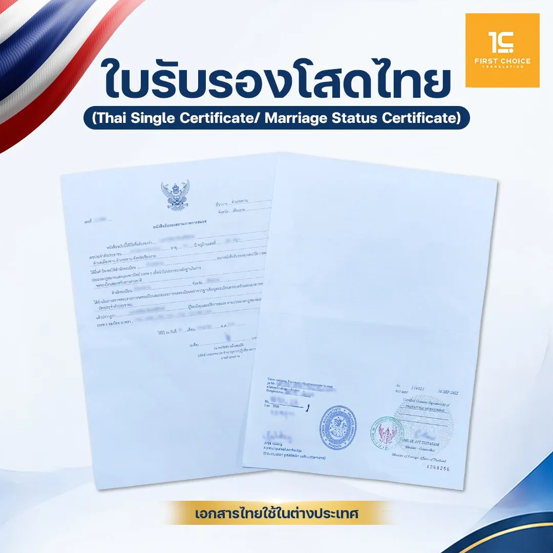 ตัวอย่างใบรับรองโสดไทย (6) 6