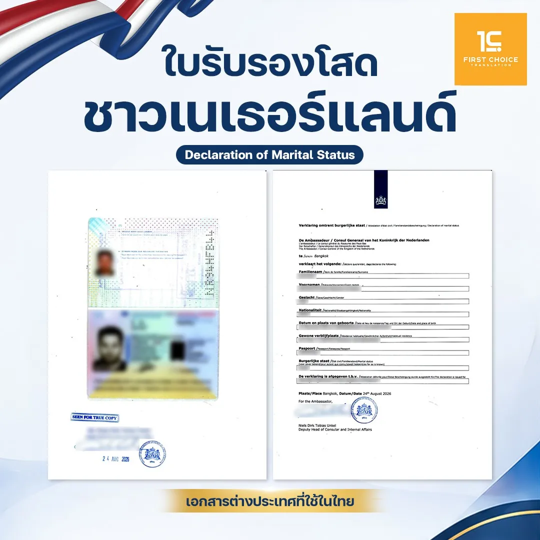 ใบรับรองโสดชาวเนเทอเเลนด์ 8